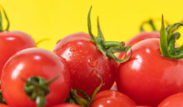 番茄小视频,轻松解锁生活小技巧